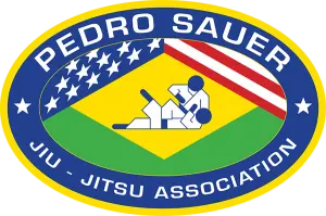 Brazilian Jiu Jitsu Blue to Purple Study Guide